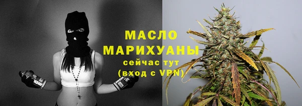 сатива Шадринск