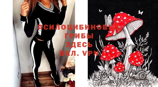 сатива Михайловск
