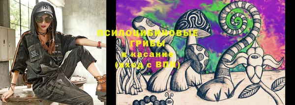 сатива Михайловск