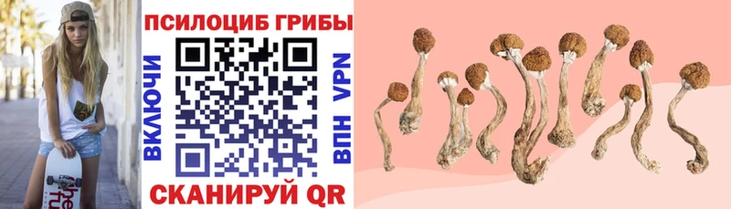 Псилоцибиновые грибы Psilocybe  Малоархангельск 